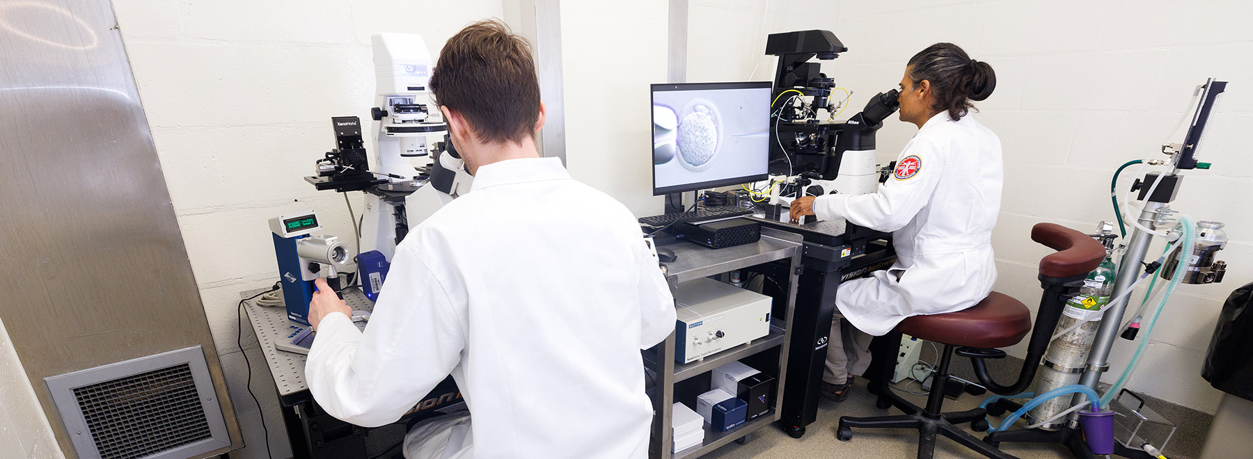 view from behind of two researchers looking through microscopes